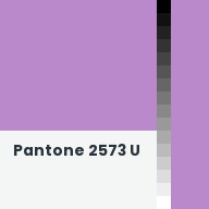 Color chip: Pantone 2573 U