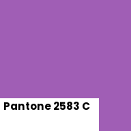 Color chip: Pantone 2583 C