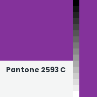 Color chip: Pantone 2593 C