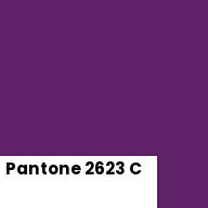 Color chip: Pantone 2623 C