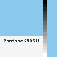 Color chip: Pantone 2905 U