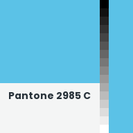 Color chip: Pantone 2985 C