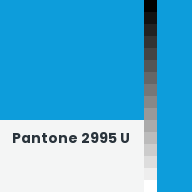 Color chip: Pantone 2995 U