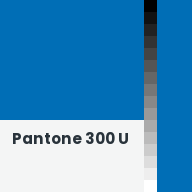 Color chip: Pantone 300 U