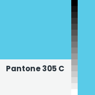 Color chip: Pantone 305 C