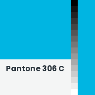 Color chip: Pantone 306 C