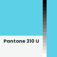 Color chip: Pantone 310 U