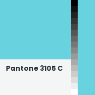 Color chip: Pantone 3105 C