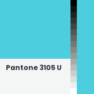 Color chip: Pantone 3105 U