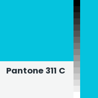 Color chip: Pantone 311 C