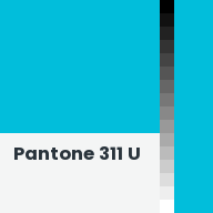 Color chip: Pantone 311 U