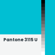 Color chip: Pantone 3115 U