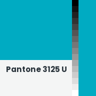 Color chip: Pantone 3125 U