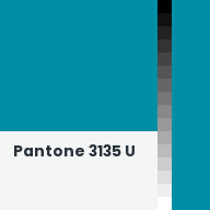 Color chip: Pantone 3135 U