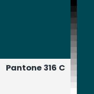 Color chip: Pantone 316 C