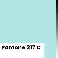 Color chip: Pantone 317 C