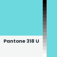 Color chip: Pantone 318 U
