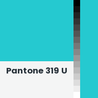 Color chip: Pantone 319 U