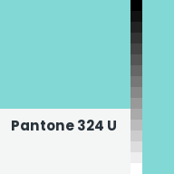 Color chip: Pantone 324 U