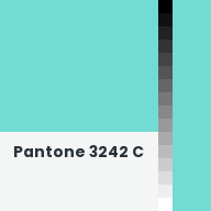 Color chip: Pantone 3242 C