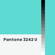 Color chip: Pantone 3242 U