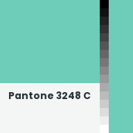 Color chip: Pantone 3248 C