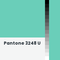 Color chip: Pantone 3248 U