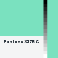 Color chip: Pantone 3375 C