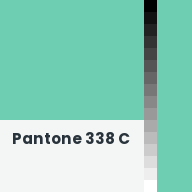 Color chip: Pantone 338 C