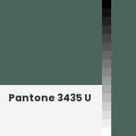 Color chip: Pantone 3435 U