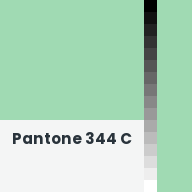 Color chip: Pantone 344 C