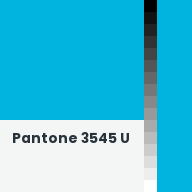Color chip: Pantone 3545 U