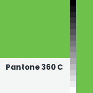 Color chip: Pantone 360 C
