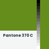 Color chip: Pantone 370 C