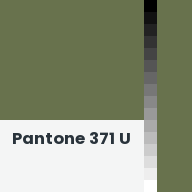 Color chip: Pantone 371 U