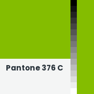 Color chip: Pantone 376 C
