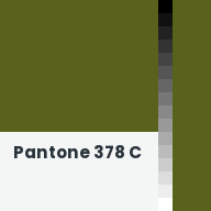 Color chip: Pantone 378 C