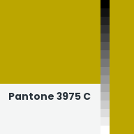 Color chip: Pantone 3975 C