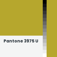 Color chip: Pantone 3975 U