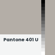 Color chip: Pantone 401 U