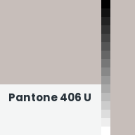 Color chip: Pantone 406 U