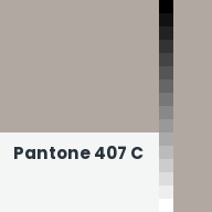 Color chip: Pantone 407 C