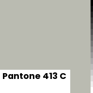Color chip: Pantone 413 C