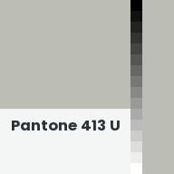 Color chip: Pantone 413 U