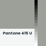 Color chip: Pantone 415 U