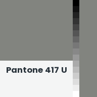 Color chip: Pantone 417 U