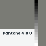 Color chip: Pantone 418 U