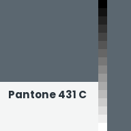 Color chip: Pantone 431 C