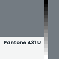 Color chip: Pantone 431 U