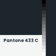 Color chip: Pantone 433 C